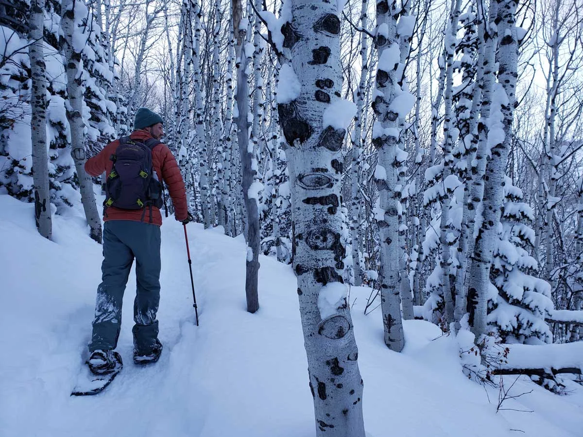 Guy snowshoeing trees