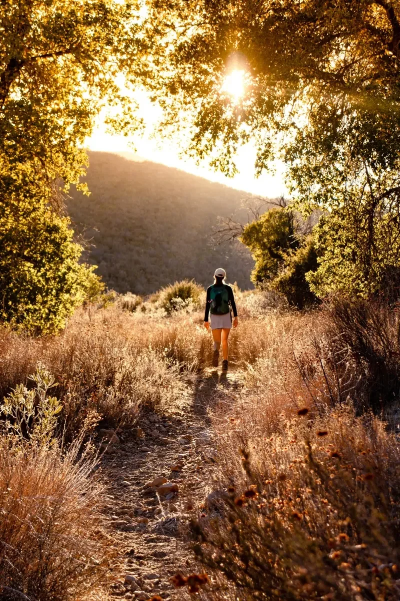 Hiker golden hour trail