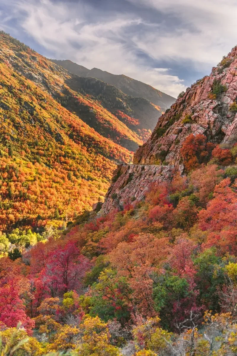 Wasatch canyon fall color